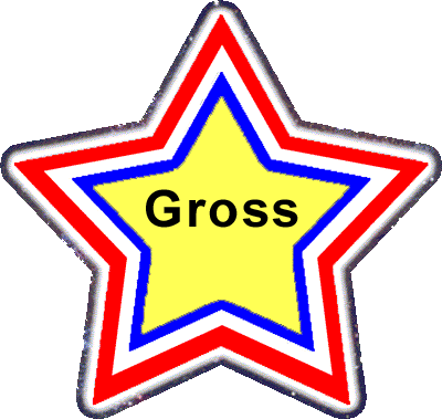 Rachel E. Gross