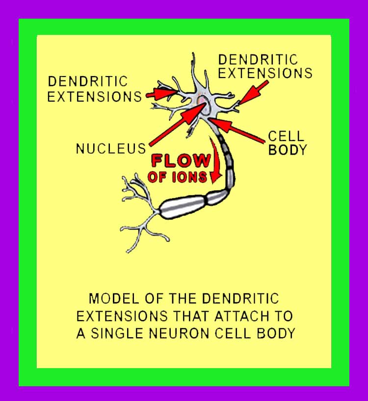 Dendrites Image