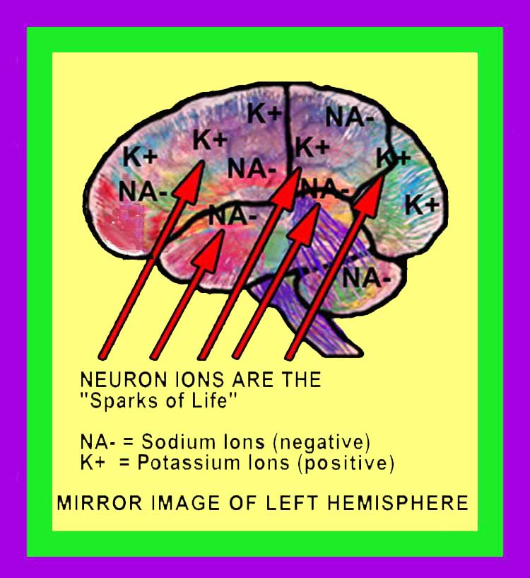 Plasticity Image