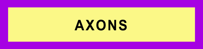AXONS