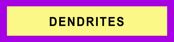DENDRITES