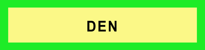 Dendrites-Memory-Code