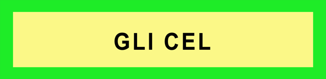 Glial Cells-Memory-Code
