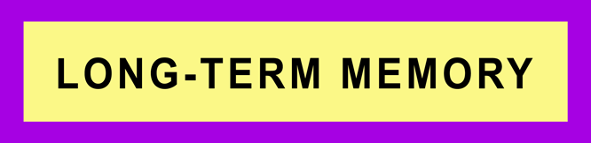 LONG-TERM MEMORY