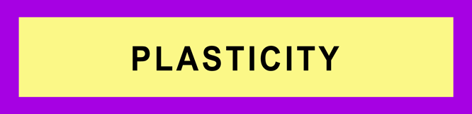 PLASTICITY