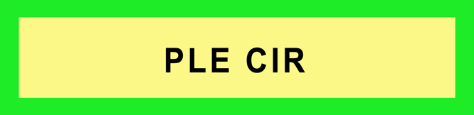 Pleasure Circuit-Memory-Code
