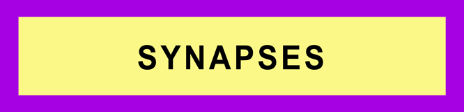 SYNAPSES