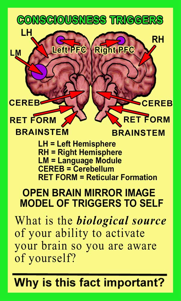 Consciousness Front