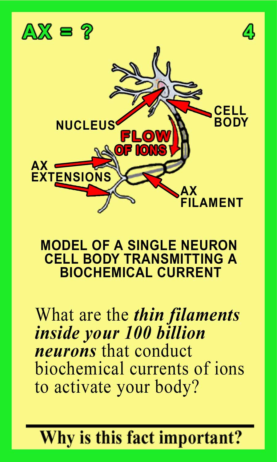 Axon-Front