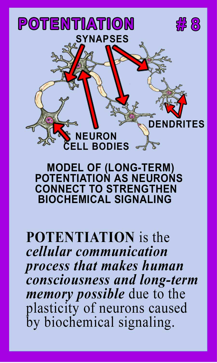 Potentiation Back