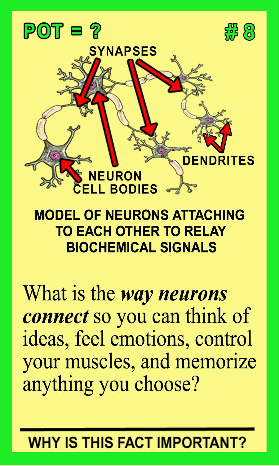 Potentiation Front