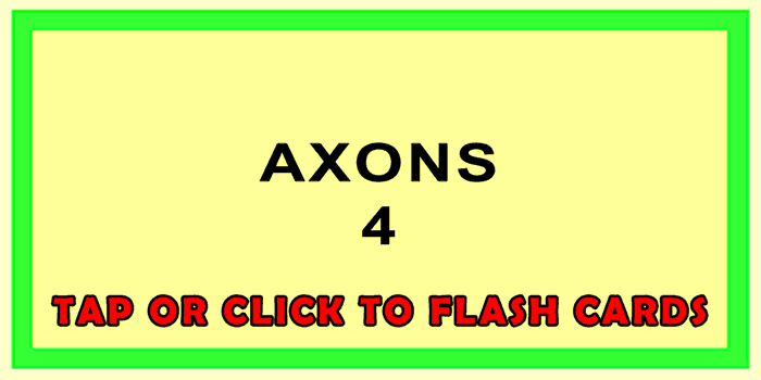 Axons