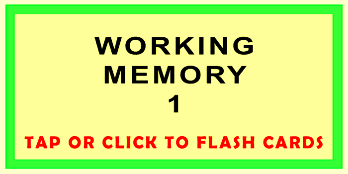 Working Memory